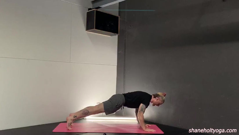 Free 17 mins of Vinyasa Flow with Shane